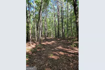 0 Millen Road, Monticello, GA 31064 - Photo 11
