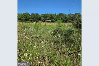 0 Millen Road, Monticello, GA 31064 - Photo 3