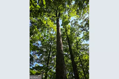 0 Millen Road, Monticello, GA 31064 - Photo 21