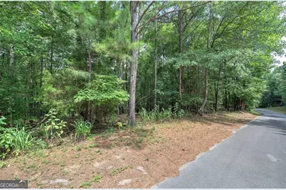 0 Weissenger Road, Kingston, GA 30145 - Photo 5