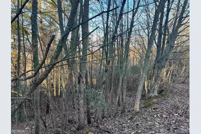 0 Daybreak Road, Cleveland, GA 30528 - Photo 5