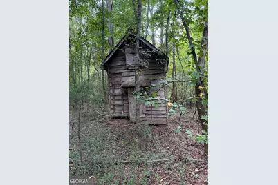 0 Coley Davis Road, Danielsville, GA 30633 - Photo 5