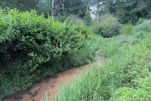 0 Coley Davis Rd, Danielsville, GA 30633 - Photo 1