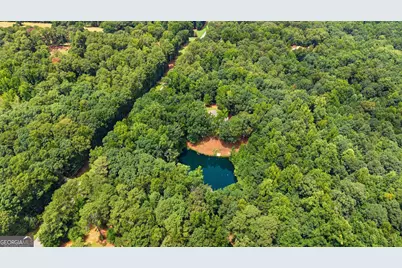 3736 Airline Road, McDonough, GA 30252 - Photo 37