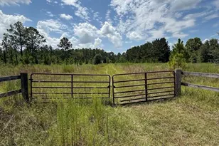 896 Farm Rd, Saint George, GA 31562 - Photo 5