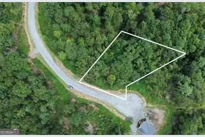Lot 49 Mountain Laurel Ridge, Mineral Bluff, GA 30559 - Photo 1