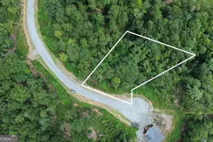 Lot 49 Mountain Laurel Ridge, Mineral Bluff, GA 30559 - Photo 1