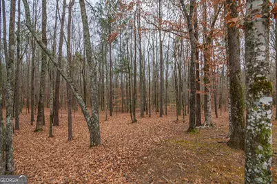 1578 Ga Highway 208, Hamilton, GA 31811 - Photo 57