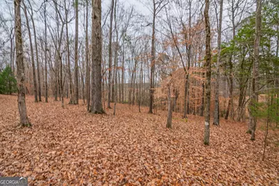 1578 Ga Highway 208, Hamilton, GA 31811 - Photo 59