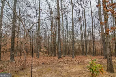1578 Ga Highway 208, Hamilton, GA 31811 - Photo 65