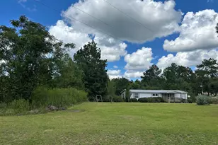 2295 New Bethel Rd, Bartow, GA 30413 - Photo 3