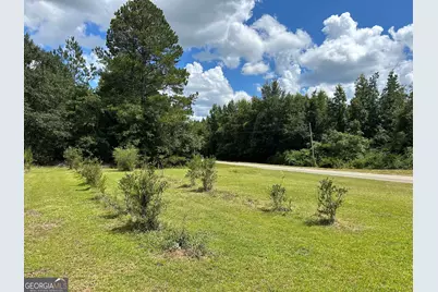 2295 New Bethel Road, Bartow, GA 30413 - Photo 9