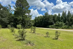2295 New Bethel Rd, Bartow, GA 30413 - Photo 9