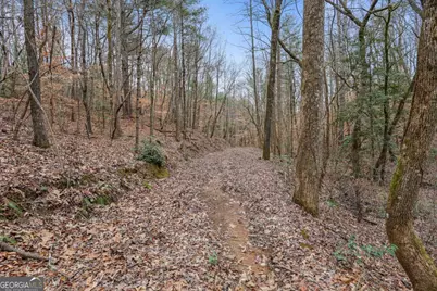0 Timberland Drive, Ellijay, GA 30540 - Photo 25
