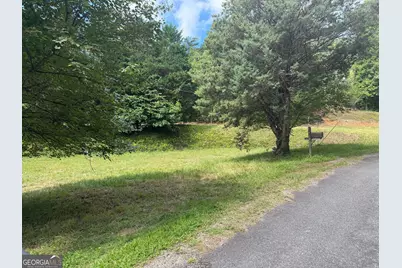 0 Parks Road, Hiawassee, GA 30546 - Photo 5