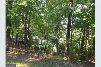 363 Griffin Road NW, Cartersville, GA 30120 - Photo 19