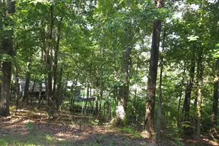 363 Griffin Rd NW, Cartersville, GA 30120 - Photo 19