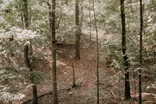 709 Day Rd, Meansville, GA 30256 - Photo 19