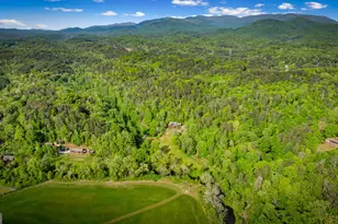 460 Wikle Dr, Ellijay, GA 30540 - Photo 81