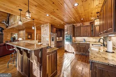 460 Wikle Drive, Ellijay, GA 30540 - Photo 17