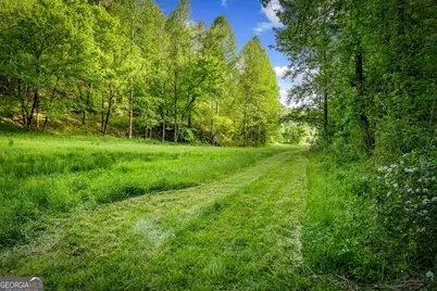 460 Wikle Drive, Ellijay, GA 30540 - Photo 73