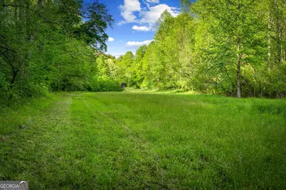 460 Wikle Drive, Ellijay, GA 30540 - Photo 75