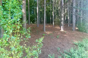 864 Crescent Ln, Griffin, GA 30224 - Photo 33