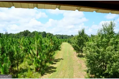 0 Highway 25 S, Waynesboro, GA 30830 - Photo 23