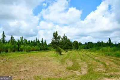 0 Highway 25 S, Waynesboro, GA 30830 - Photo 33