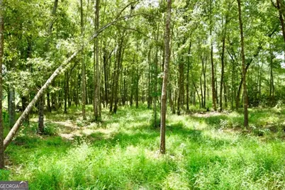 0 Highway 25 S, Waynesboro, GA 30830 - Photo 41