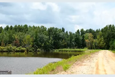 0 Highway 25 S, Waynesboro, GA 30830 - Photo 3
