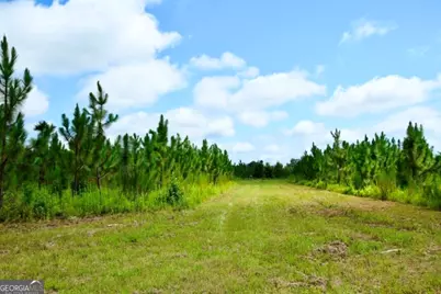 0 Highway 25 S, Waynesboro, GA 30830 - Photo 13
