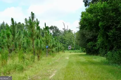 0 Highway 25 S, Waynesboro, GA 30830 - Photo 27