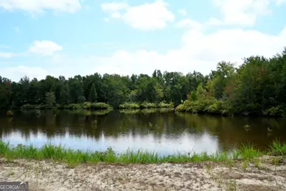0 Highway 25 S, Waynesboro, GA 30830 - Photo 45