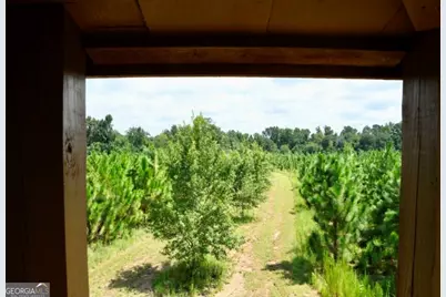 0 Highway 25 S, Waynesboro, GA 30830 - Photo 25
