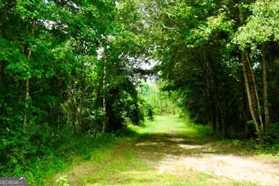0 Highway 25 S, Waynesboro, GA 30830 - Photo 39
