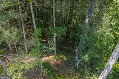 Tract C Hicks Ford Road, Ellijay, GA 30540 - Photo 17