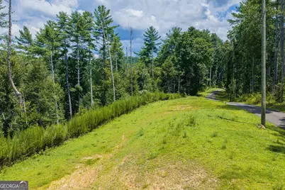 Tract C Hicks Ford Road, Ellijay, GA 30540 - Photo 3