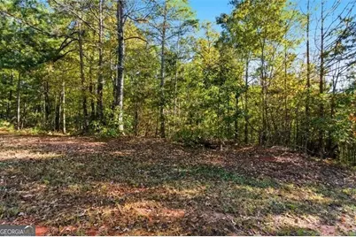 7794 Gusty Trail, Douglasville, GA 30135 - Photo 3