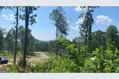 1084 Highgrove Drive #276, Talking Rock, GA 30175 - Photo 21