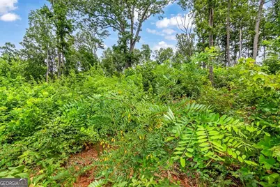 1084 Highgrove Drive #276, Talking Rock, GA 30175 - Photo 25