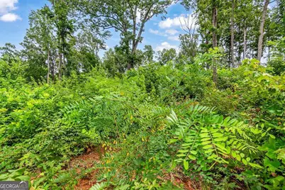 1084 Highgrove Drive #276, Talking Rock, GA 30175 - Photo 31
