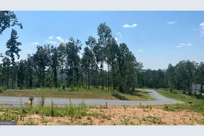 1084 Highgrove Drive #276, Talking Rock, GA 30175 - Photo 5