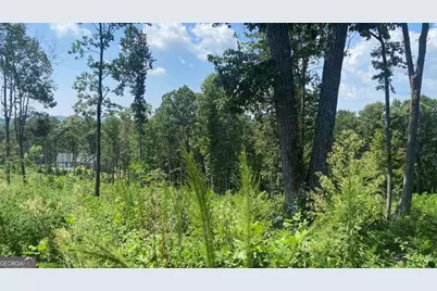 1084 Highgrove Drive #276, Talking Rock, GA 30175 - Photo 19