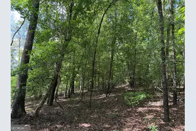 004 Little Sandy Creek Road, Toomsboro, GA 31090 - Photo 7
