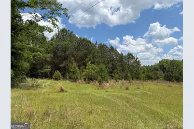 004 Little Sandy Creek Road, Toomsboro, GA 31090 - Photo 1