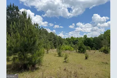 004 Little Sandy Creek Road, Toomsboro, GA 31090 - Photo 3
