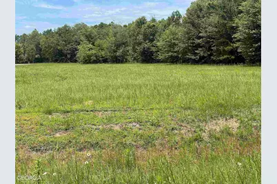 Lot 10 Burkhalter Road, Statesboro, GA 30458 - Photo 5