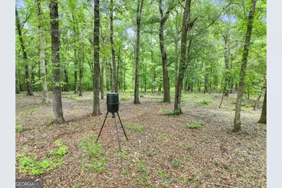 350 E Harp Road, Thomaston, GA 30286 - Photo 99