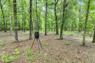 350 E Harp Rd, Thomaston, GA 30286 - Photo 99